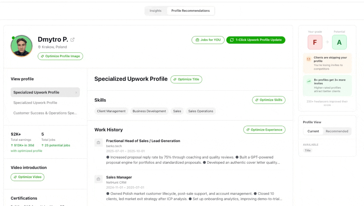 The Profile Optimizer